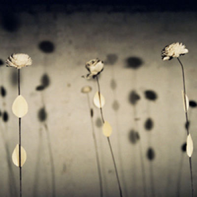 Constructed Realities